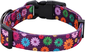 Floral Dog Collar Large by Prismra
